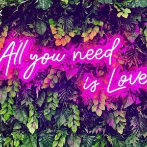 Neon sign for events - All you need is love